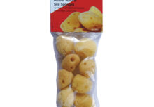 Jakar Natural Sea Sponge, 10 Fine Textured, (2-2.5”), Hanging Pack